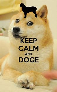 Image result for Doge Phone Meme