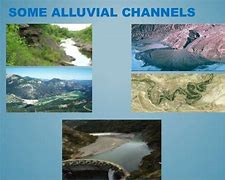 Image result for aouvial