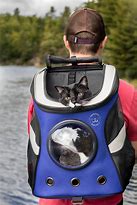 Image result for Jackson Galaxy Cat Backpack