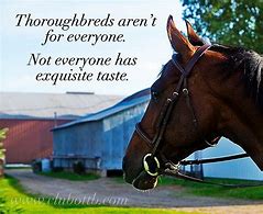 Image result for Thoroughbred Horse Racing Quotes