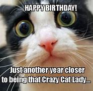 Image result for Evil Birthday Cat Meme