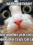 Image result for Cat Lady Birthday Meme