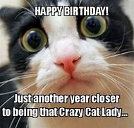 Image result for Cat Lover Birthday Meme
