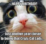 Image result for Cat Lady Birthday Meme