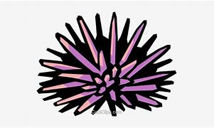 Image result for Sea Urchin Shells Clip Art