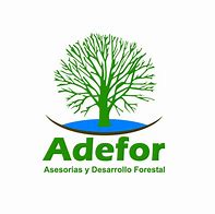 Image result for adufrr