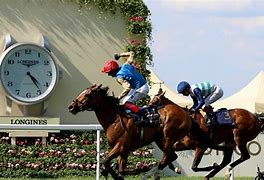 Image result for Horse Racing Daily Double Signs