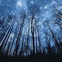 Image result for Night Wallpaper for iPhone