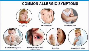 Image result for Allergy Coughing Symptoms