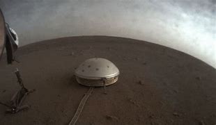 Image result for Cat On Mars