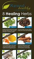 Image result for Womb Healing Herbs