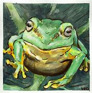 Image result for Silly Frog Paintings