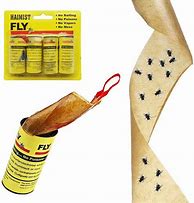 Image result for Fly Traps for Indoors