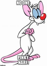 Image result for Pinky and the Brain Winter Meme