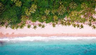 Image result for Tropical Beach Picture Aerial View