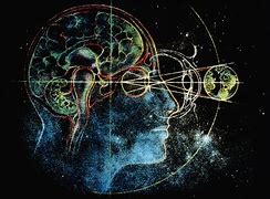 Image result for Brain Universe Theory