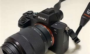 Image result for Sony ミラーレス
