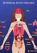 Image result for Human Body with Face Template