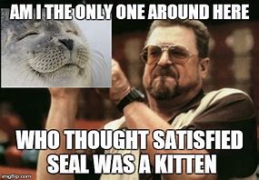 Image result for Katten Memes