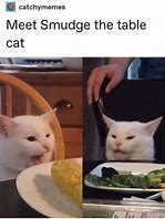 Image result for Disgusted Cat Food Meme