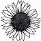 Image result for Sunflower Stencil Black and White
