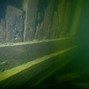 Image result for Biggest Shipwreck