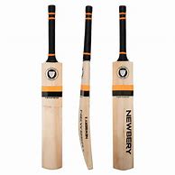 Image result for Cricket Bat