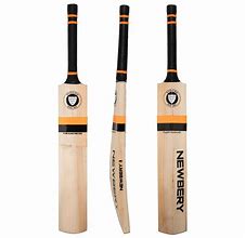 Image result for Cricket Bat Pic