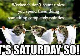 Image result for Small Business Saturday Memes