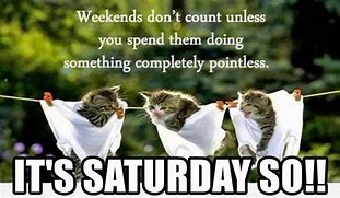 Image result for Funny Saturday Motivation