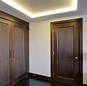 Image result for Double Doors Interior