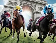Image result for World Horse Racing