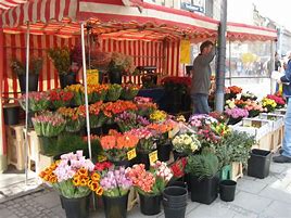 Image result for German Flower Shop