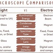 Image result for Glass Microscope Slides