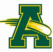 Image result for Amherst Comets Logo