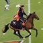 Image result for Virginia Cavaliers Mascot