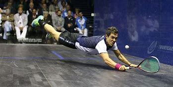 Image result for Squash Sport Ball