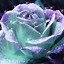 Image result for Teal Flowers iPhone Wallpaper