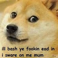 Image result for British Doge Meme