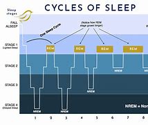 Image result for Jawbone Normal Sleep Pattern