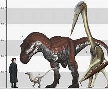 Image result for Largest Man to Dinos
