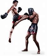 Image result for Types of MMA