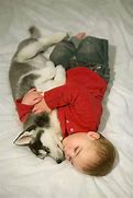 Image result for Pile of Puppies Meme
