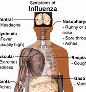 Image result for Difference Between Flu a and B