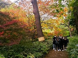 Image result for Tokyo International University Ikebukuro