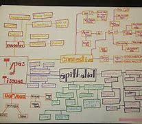 Image result for A Concept Map for Primary Memory