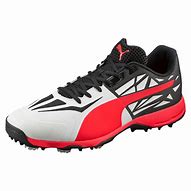Image result for Cricket Boots