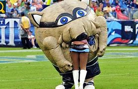 Image result for Funny Mascots