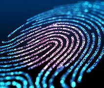 Image result for Fingerprint Digitized iPhone