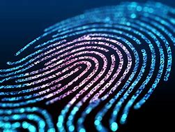 Image result for Fingerprint Theme